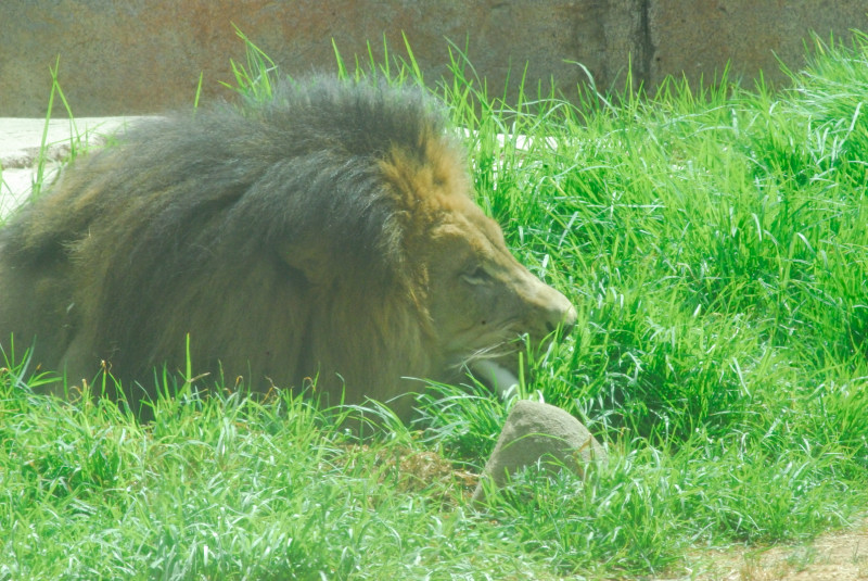 Visit to San Diego Zoo facilities