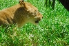 Visit to San Diego Zoo facilities