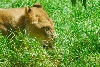 Visit to San Diego Zoo facilities
