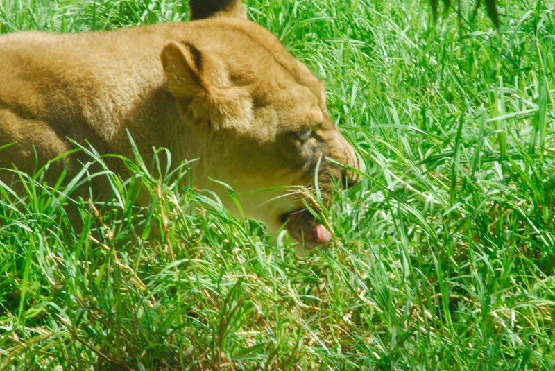 Visit to San Diego Zoo facilities