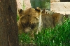 Visit to San Diego Zoo facilities