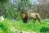 Visit to San Diego Zoo facilities