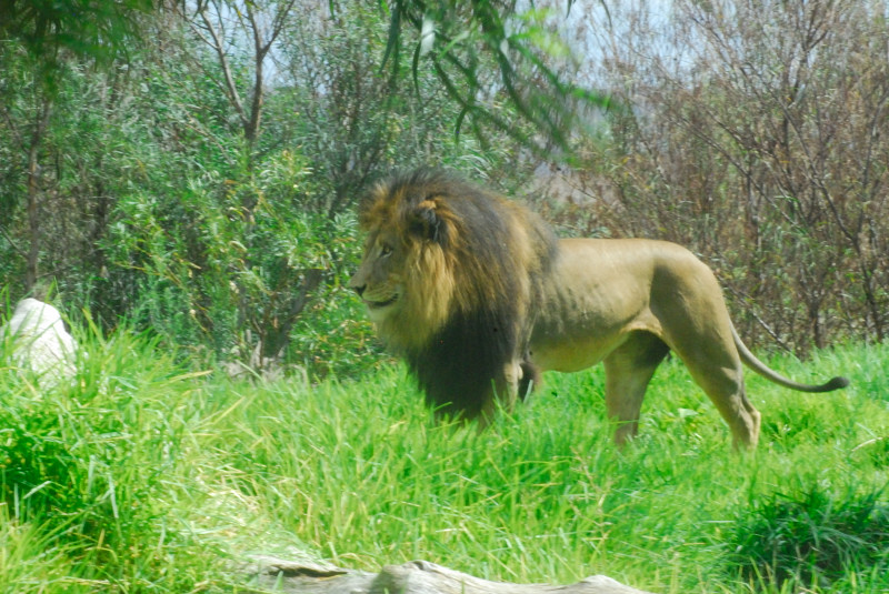Visit to San Diego Zoo facilities