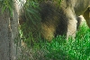 Visit to San Diego Zoo facilities