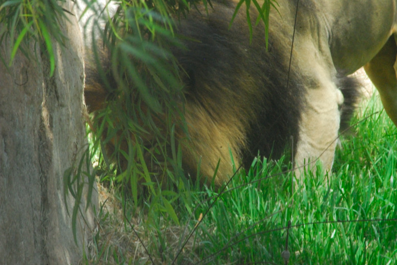 Visit to San Diego Zoo facilities