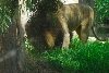 Visit to San Diego Zoo facilities
