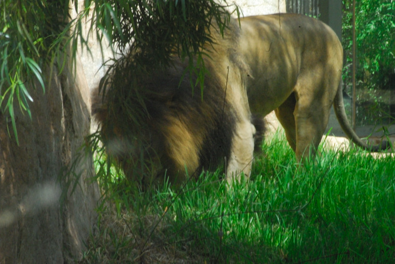 Visit to San Diego Zoo facilities