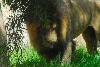 Visit to San Diego Zoo facilities