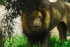 Visit to San Diego Zoo facilities