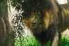 Visit to San Diego Zoo facilities