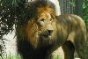 Visit to San Diego Zoo facilities