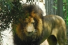 Visit to San Diego Zoo facilities