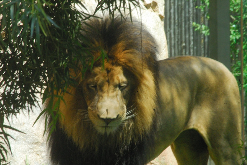 Visit to San Diego Zoo facilities