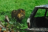 Visit to San Diego Zoo facilities