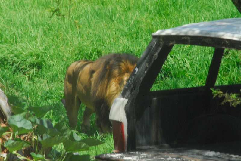 Visit to San Diego Zoo facilities
