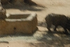 Visit to San Diego Zoo facilities