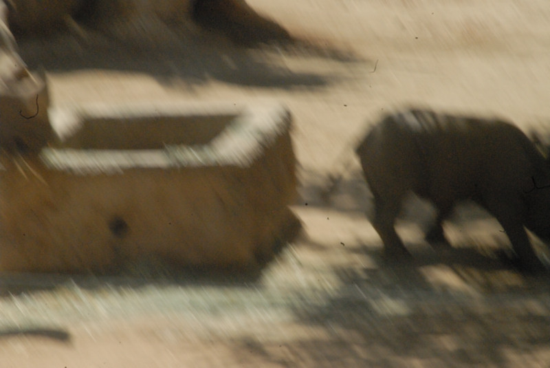 Visit to San Diego Zoo facilities