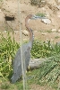 Visit to San Diego Zoo facilities