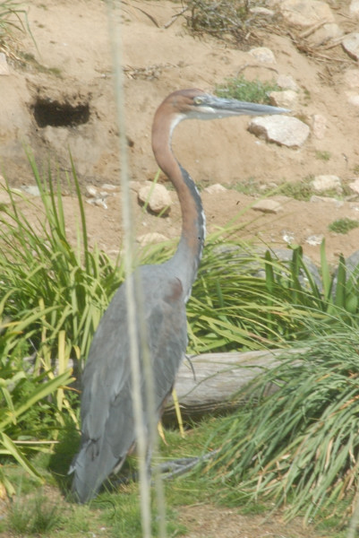 Visit to San Diego Zoo facilities