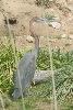 Visit to San Diego Zoo facilities