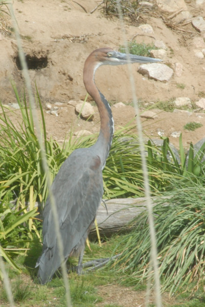 Visit to San Diego Zoo facilities