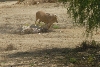 Visit to San Diego Zoo facilities