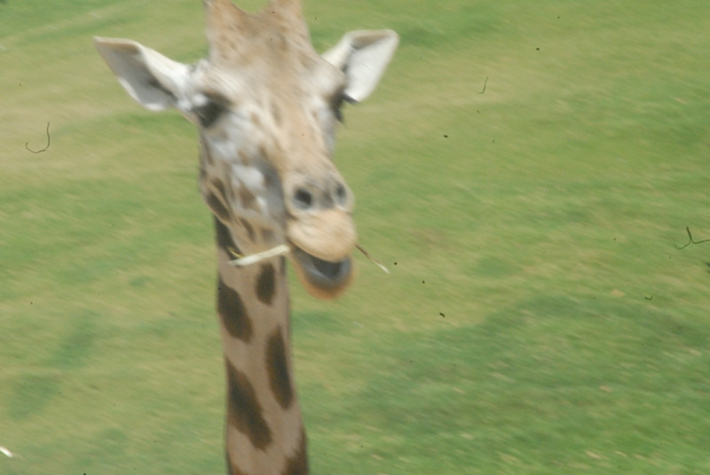 Visit to San Diego Zoo facilities