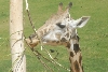Visit to San Diego Zoo facilities