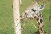 Visit to San Diego Zoo facilities