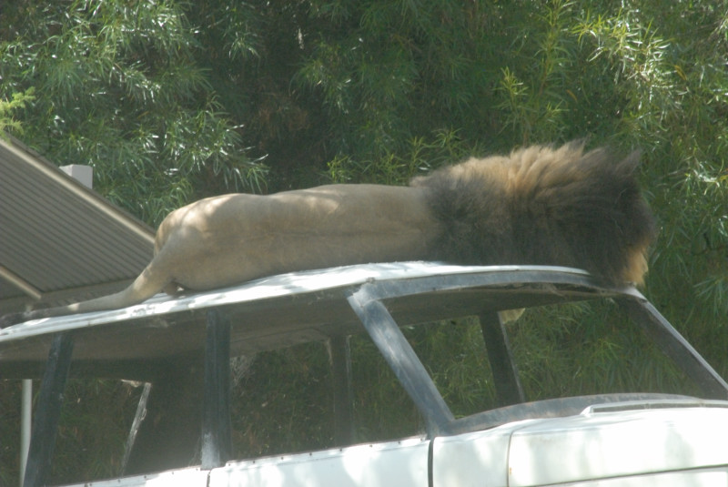 Visit to San Diego Zoo facilities