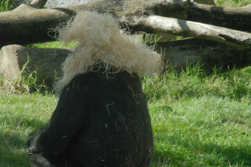 Visit to San Diego Zoo facilities