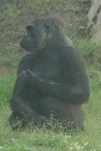 Visit to San Diego Zoo facilities