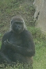 Visit to San Diego Zoo facilities