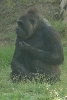Visit to San Diego Zoo facilities