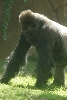 Visit to San Diego Zoo facilities