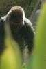 Visit to San Diego Zoo facilities