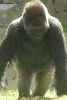 Visit to San Diego Zoo facilities