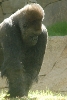 Visit to San Diego Zoo facilities