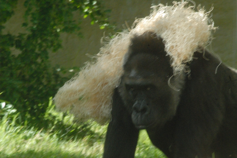 Visit to San Diego Zoo facilities