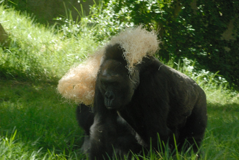 Visit to San Diego Zoo facilities