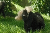 Visit to San Diego Zoo facilities