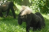 Visit to San Diego Zoo facilities