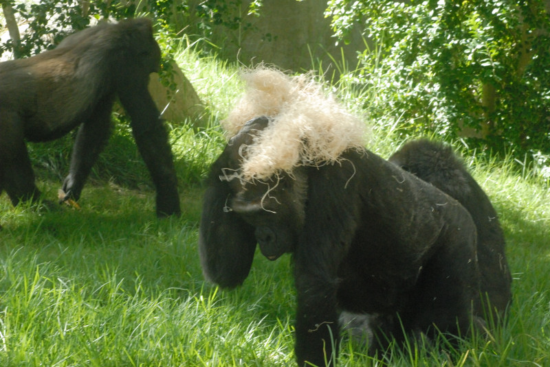 Visit to San Diego Zoo facilities