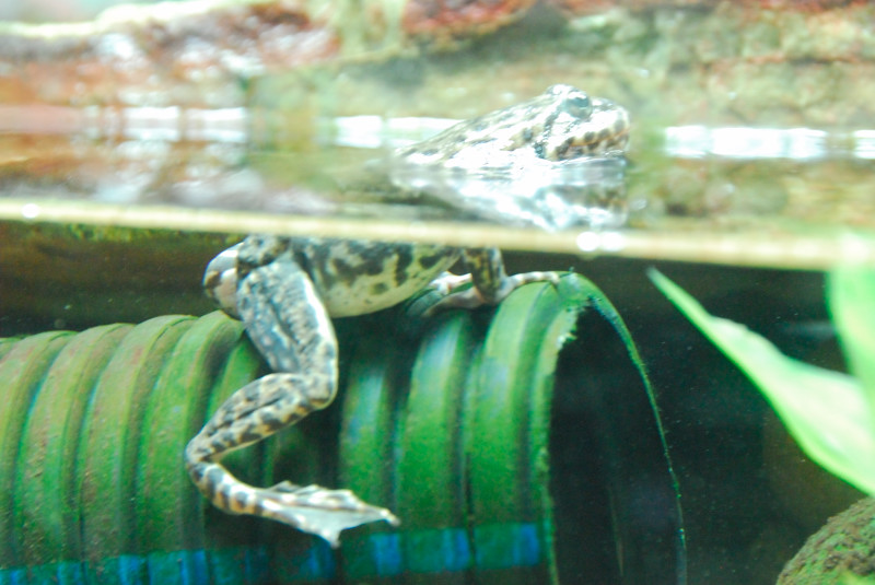 Visit to San Diego Zoo facilities