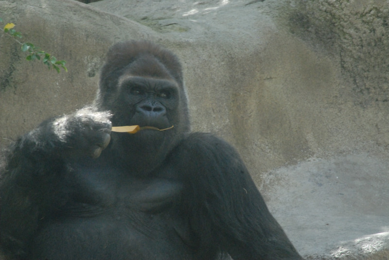 Visit to San Diego Zoo facilities