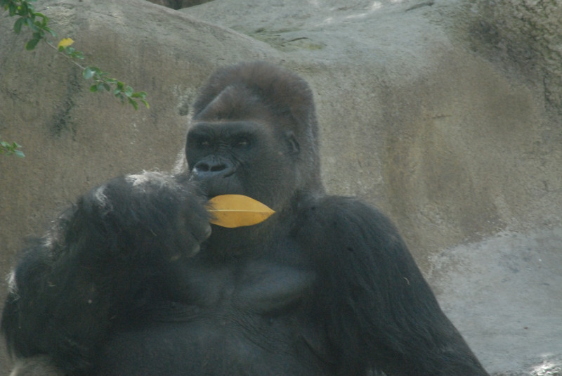 Visit to San Diego Zoo facilities