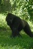 Visit to San Diego Zoo facilities