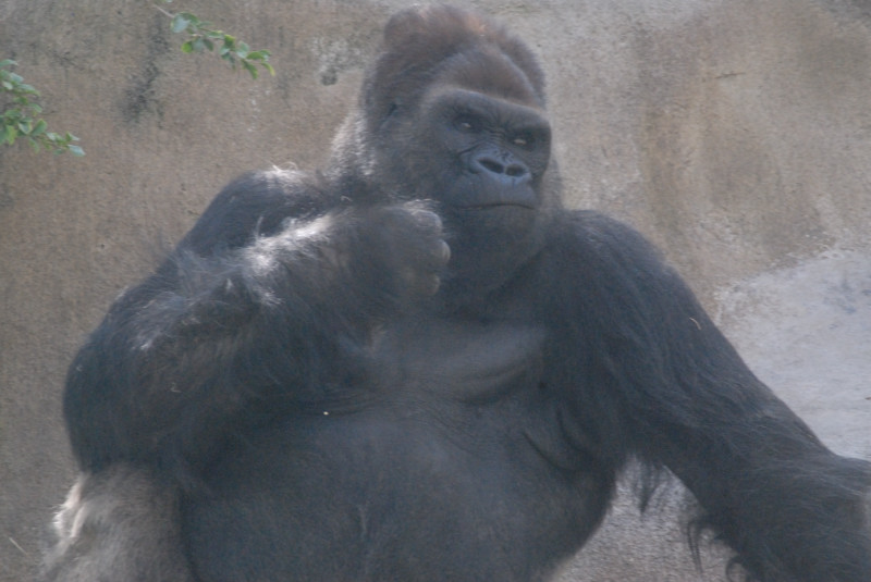 Visit to San Diego Zoo facilities