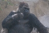 Visit to San Diego Zoo facilities
