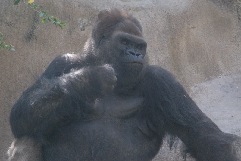 Visit to San Diego Zoo facilities